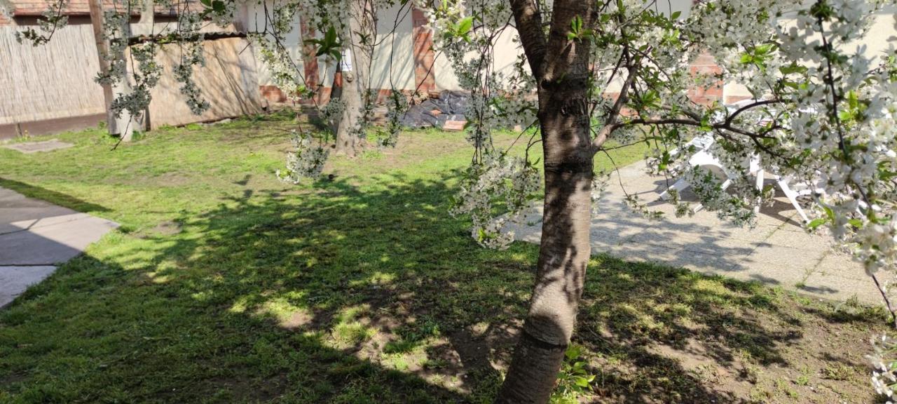 Orsi Apartman / Vendeghaz Kecskemét Extérieur photo