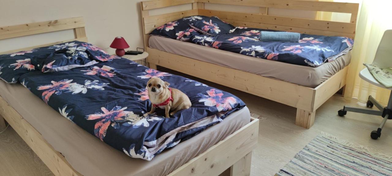 Orsi Apartman / Vendeghaz Kecskemét Extérieur photo